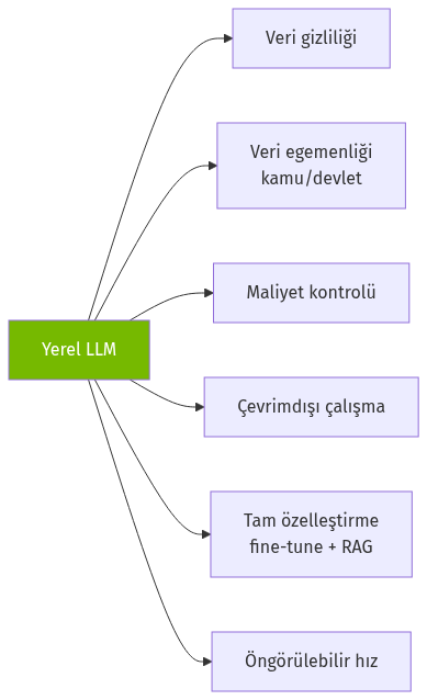 Yerel LLM'in başlıca avantajları
